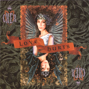Cher – Love Hurts (CD)
