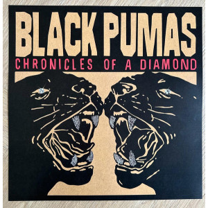Black Pumas – Chronicles Of A Diamond