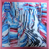 Panda Bear – Buoys