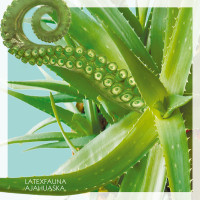 Latexfauna – Ajahuaska Season 2
