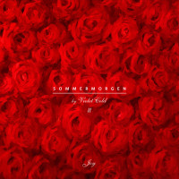 Violet Cold – Sommermorgen (Pt. II) - Joy